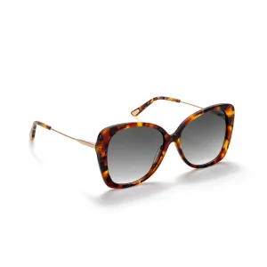 Óculos de Sol One Preppy Castanho